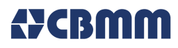 CBMM